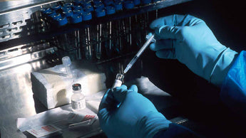 Training for Regulatory Bodies